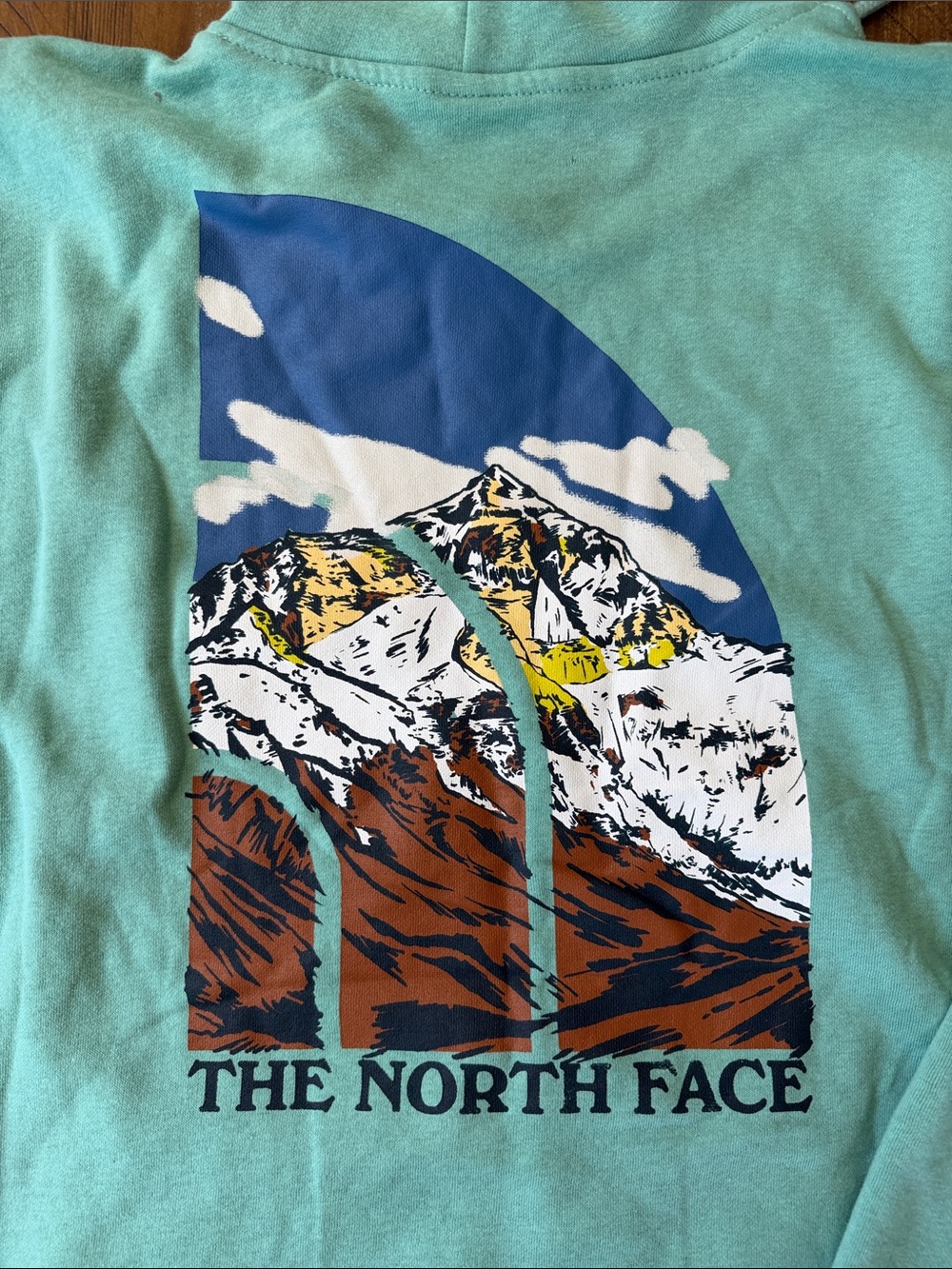 Men’s The North Face Sweatshirt Hoodie Top Graphic Large NWOT Read flaw